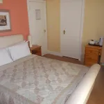 Hotel Black Lion